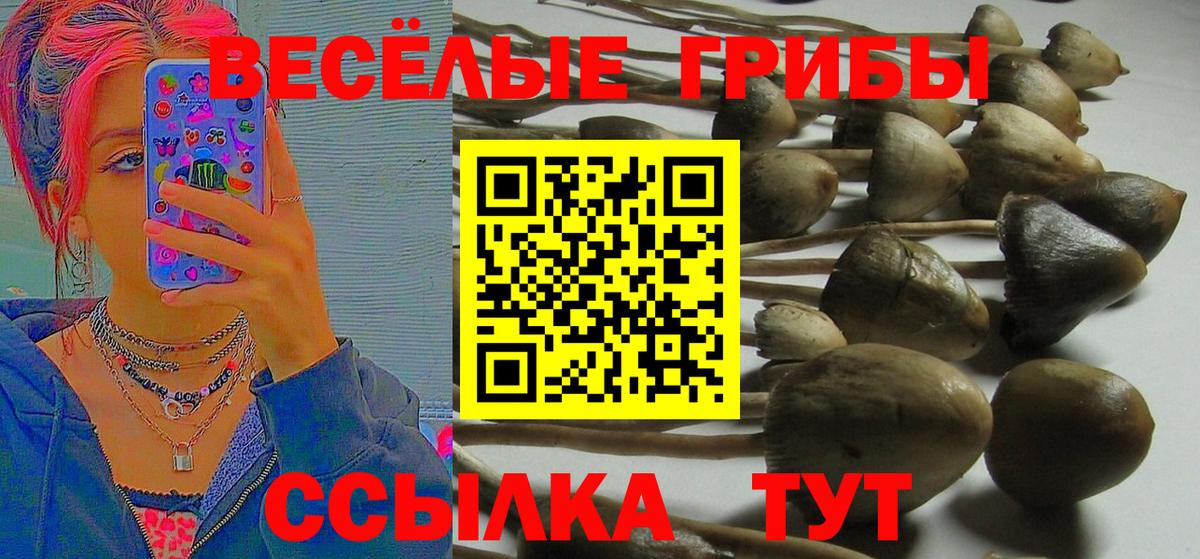 закладка  Псилоцибиновые грибы мухоморы  Галлюциногенные грибы Cubensis  Вход с VPN  Лыткарино 