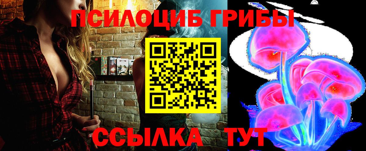 Галлюциногенные грибы Psilocybine cubensis Лыткарино